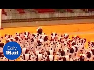 Dance troupe dressed as chick-fil-a-cows – Daily Mail