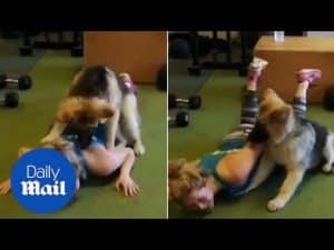 Puppy power! Adorable Maximus joins in with burpees workout – Daily Mail