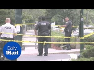 Severed human legs found near Connecticut railroad station – Daily Mail