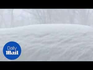 Snow timelapse in New Jersey USA – Daily Mail