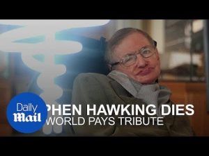 The world pays tribute to the late Stephen Hawking on Twitter – Daily Mail
