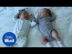Twin babies happy and healthy before drug driver car accident – Daily Mail
