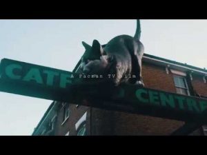 Lewisham Borough – Hands in the air 2 (Trailer) | @PacmanTV