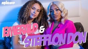 Stefflon Don decorates cakes in Secure mixtape, Carnival & Lil Kim conversation with Emerald