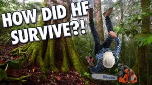 10 Freak Accidents That You Won’t Believe Happened