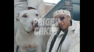 Paigey – Say Go (Music Video)