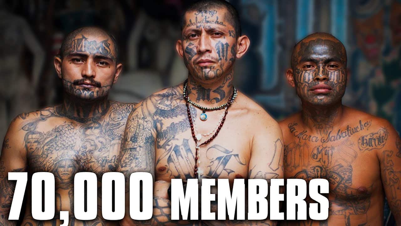 10 Most Dangerous Gangs In History OSM Vision