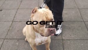#Stainboyz T.Y – Go Get It #Birmingham (Music Video) | @MixtapeMadness