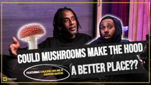 COULD THE MAGIC MUSHROOMS BE THE HERO??? || HCPOD