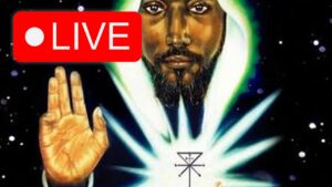 *LIVE* Wu-Sabat Livestream | Ask Us Anything Ep.3